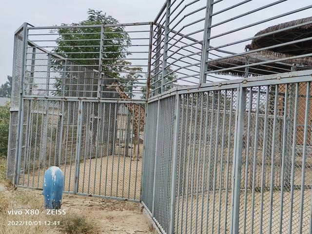 石家庄动物园攻略，石家庄动物园游玩自带饭攻略