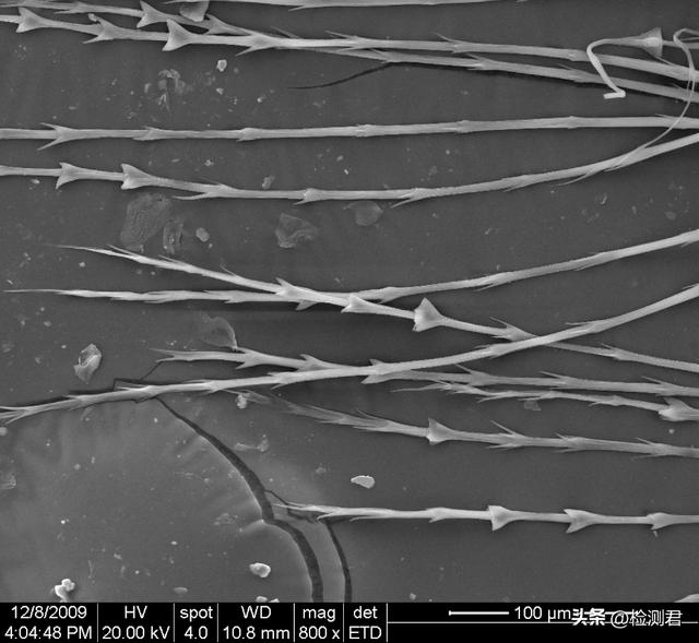 羽绒服执行标准，国标羽绒服标准