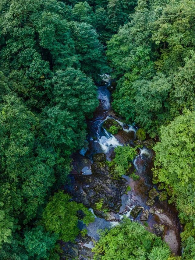 雅安爬山推荐，耍水、徒步、爬山、云海任你选