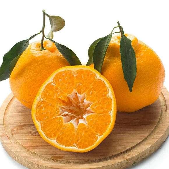 橘子的品种有哪些，柑橘品种有哪些