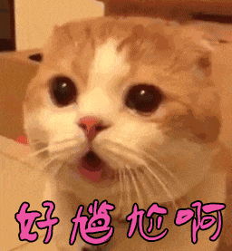 车辆警示灯大全，汽车最全指示灯大全