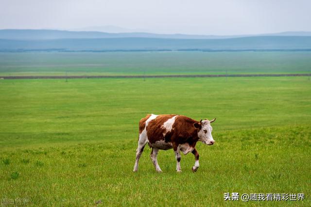 内蒙古旅游景点大全，内蒙古必看景点（盘点内蒙古26个最好玩的景区景点）