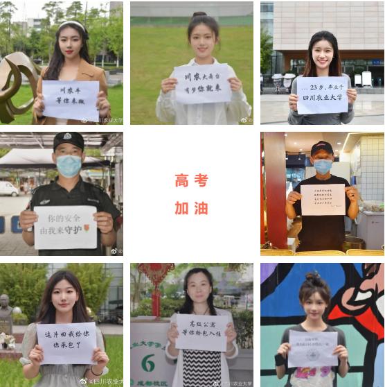 成都市有哪些高校属市属高校，经费不如市属高校