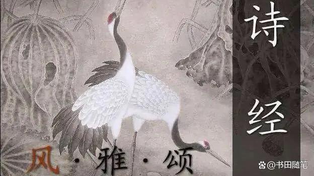 诗经有名的篇目，梁思成、林徽因、傅斯年......那些来自《诗经》的名字