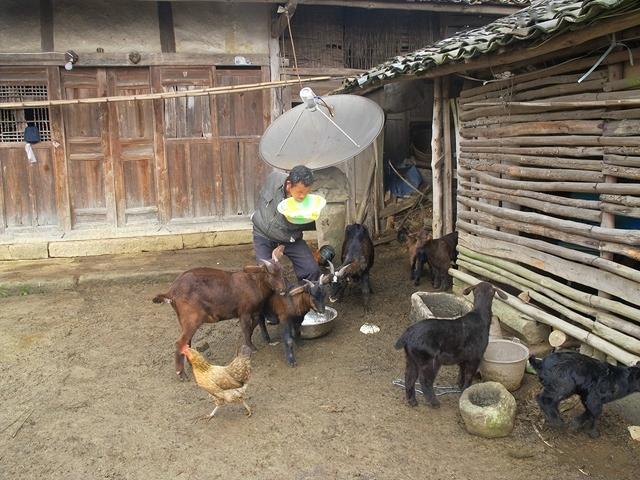 97岁驼背老人现状，97岁杨振宁携妻子出行