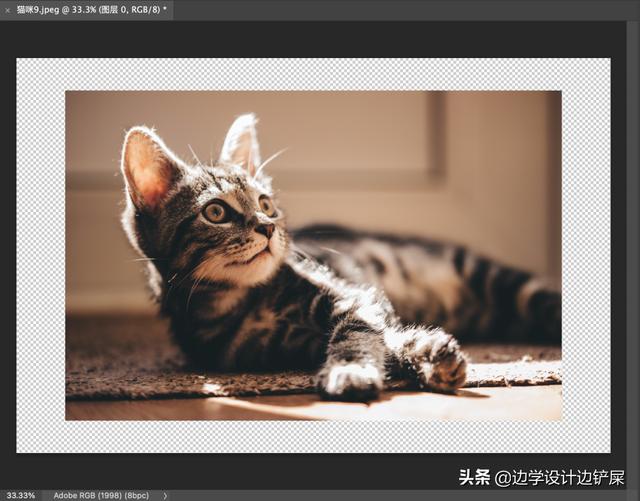 裁剪工具有哪些，什么视频剪辑软件可以裁剪画面