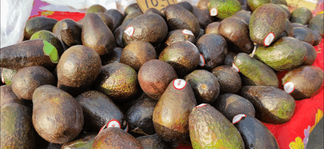 年货大集门头，年货大集一网打尽