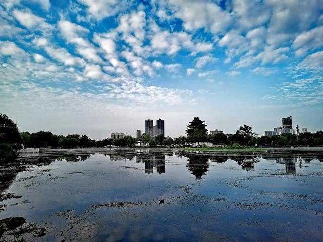 武汉白沙洲人工河，天气下雨鱼情好。坐标武汉市洪山区白沙洲青菱河