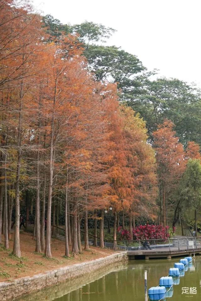 深圳地铁1号线游玩，免费地铁直达深圳这些地方一天玩遍