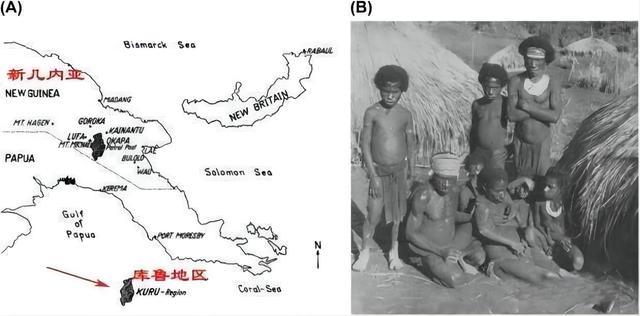 致死率达100烹煮都杀不死的朊病毒，朊病毒到底是什么病毒