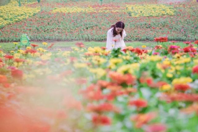 深圳地铁1号线游玩，免费地铁直达深圳这些地方一天玩遍