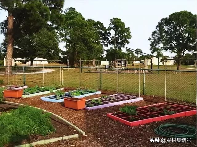 菜园与花园的设计，成就田园生活的食材花园