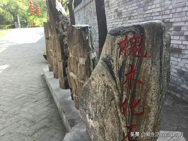 洪洞县大槐树景区，洪洞大槐树旅游攻略
