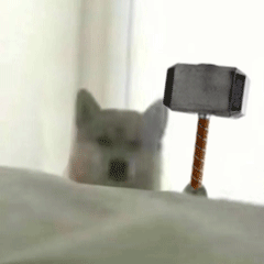 可爱小狗表情包，可爱表情包大全狗子