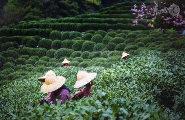 吴磊最近演的一部电影父辈，吴磊迎来一部新电影