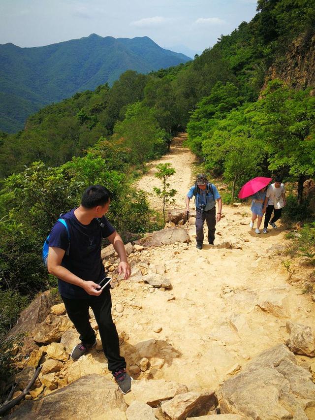 关于深圳梧桐山简介，深圳之巅——梧桐山