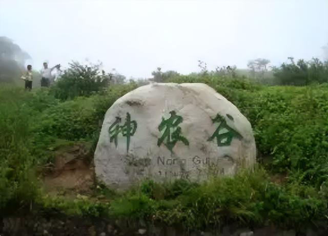 神农架有野人吗，神农架野人之谜人们误闯野人禁地（神农架到底有没有野人）