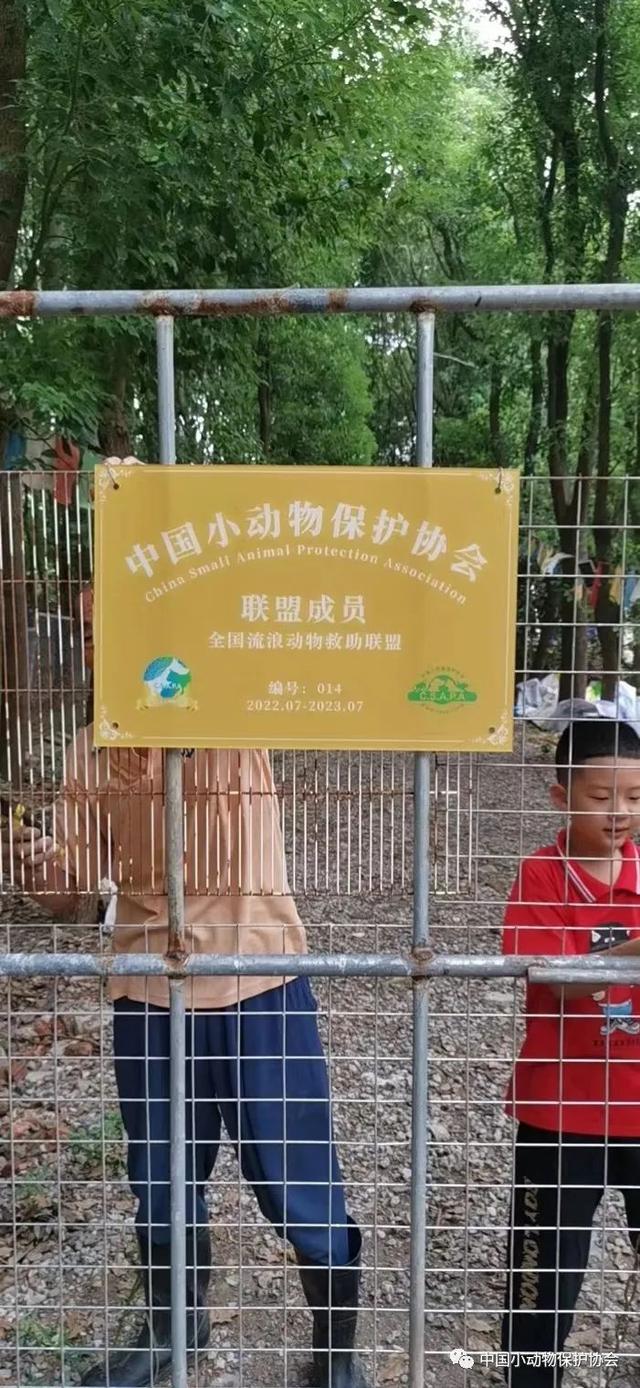 流浪动物救助站，流浪动物救助站统计（爱心人士反映四川江油流浪动物救助站动物生存环境恶劣）