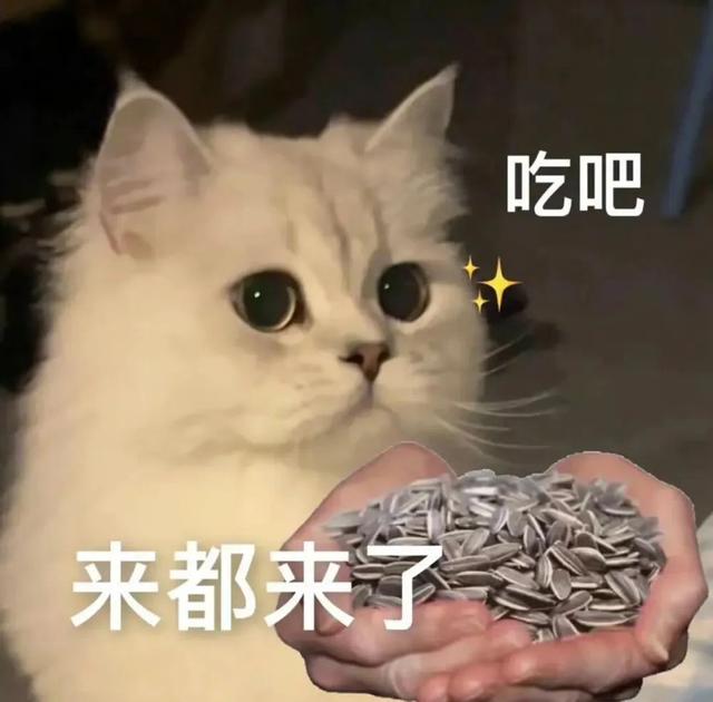 手机能正常使用的最低温度，手机跑电关机“预警”图