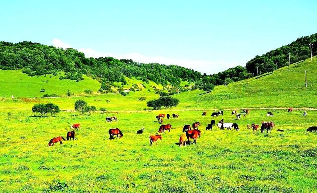 关于宝鸡的介绍，陕西宝鸡的每个县区都可以用一个词语来诠释