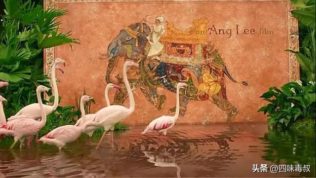 简短航海日志，这份人生航海宝典你一定要收下