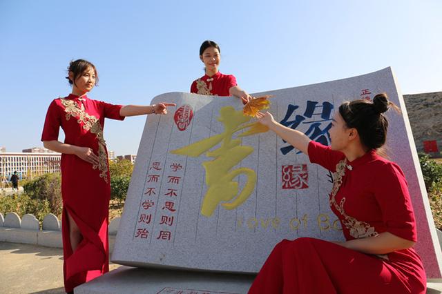 河北科技学院曹妃甸校区地图，科技学院新校区落户曹妃甸