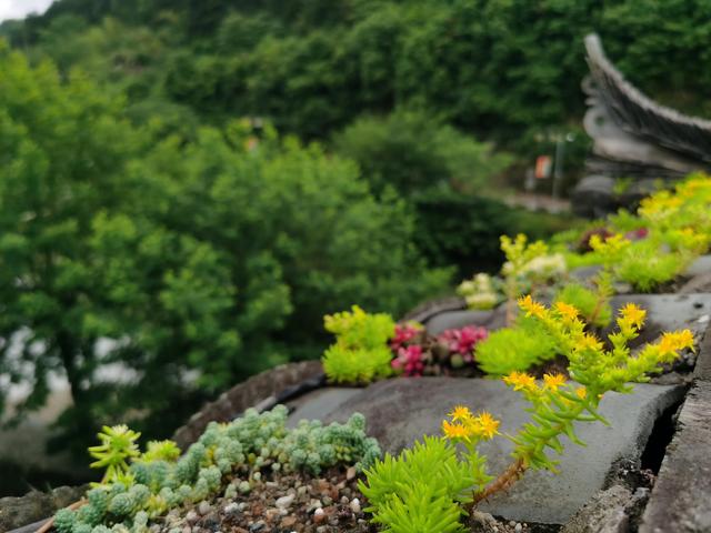 景德镇一日游必去景点，景德镇旅游景点十大排行（江西旅游必去十大景点有哪些）
