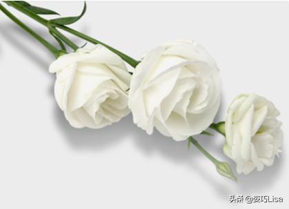插花怎么弄出漂亮花束，掌握这“三个”原则