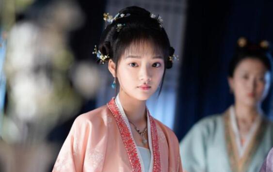 历史中真实的徽柔公主，《清平乐》赵徽柔原型