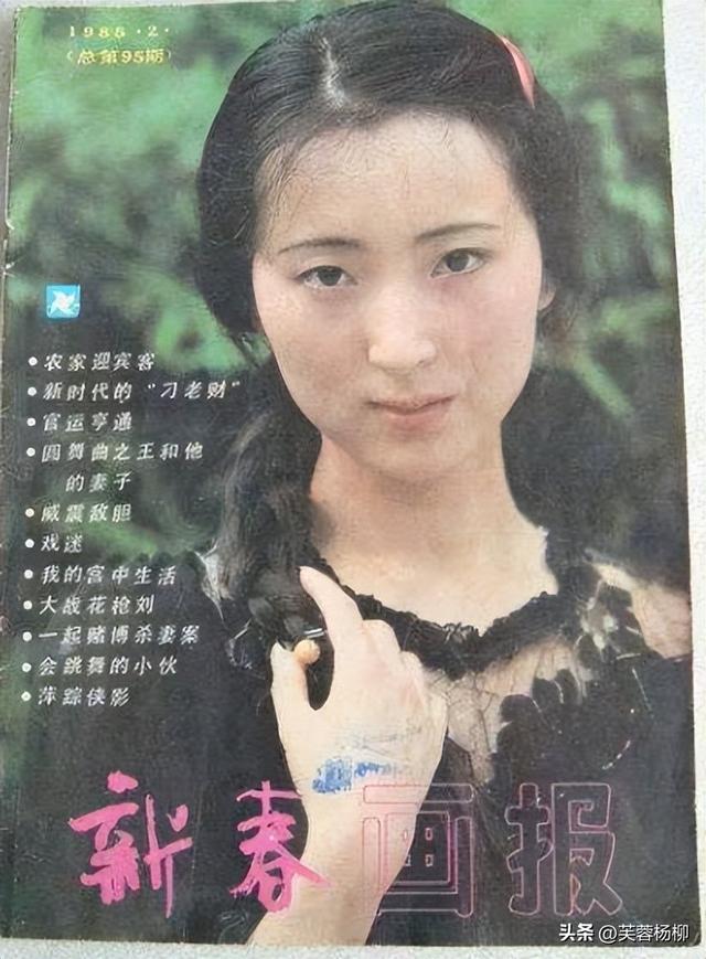 红楼梦最漂亮的人物，87红楼梦十大美女