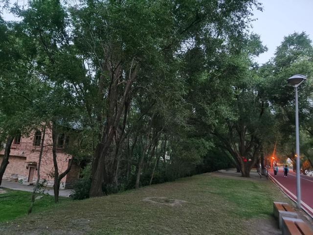 哈尔滨太阳岛详细地址在哪里，哈尔滨太阳岛