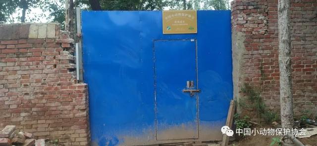 流浪动物救助站，流浪动物救助站统计（爱心人士反映四川江油流浪动物救助站动物生存环境恶劣）