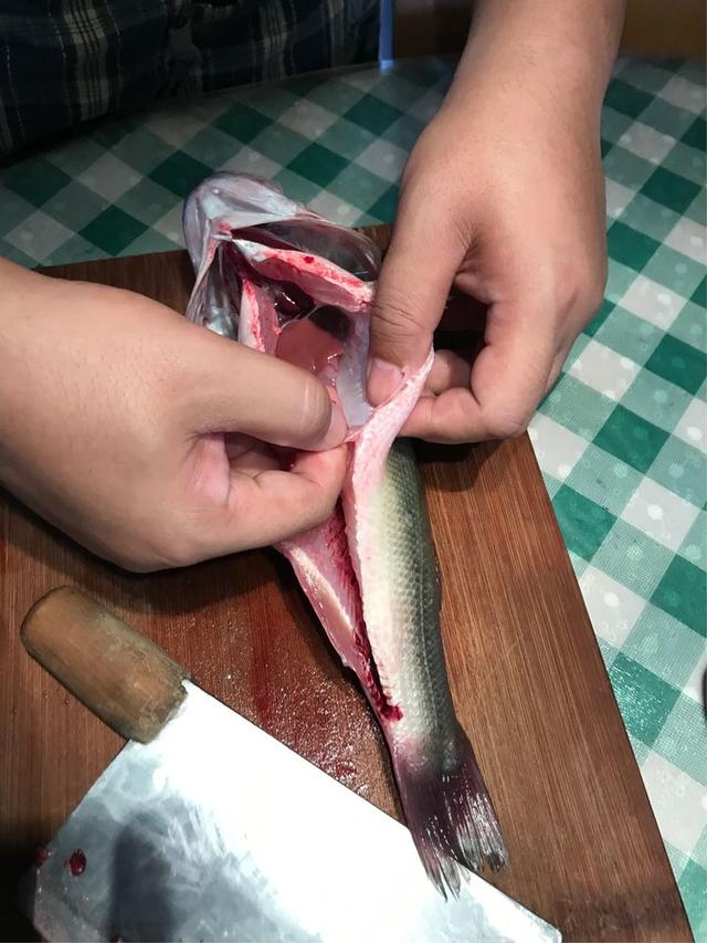 鱼的内脏解剖图，龙鱼内脏解剖图解（通体熟透、内脏掏空）