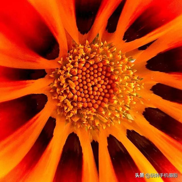 绿色星球有哪些，豆瓣评分9.8的绿色星球