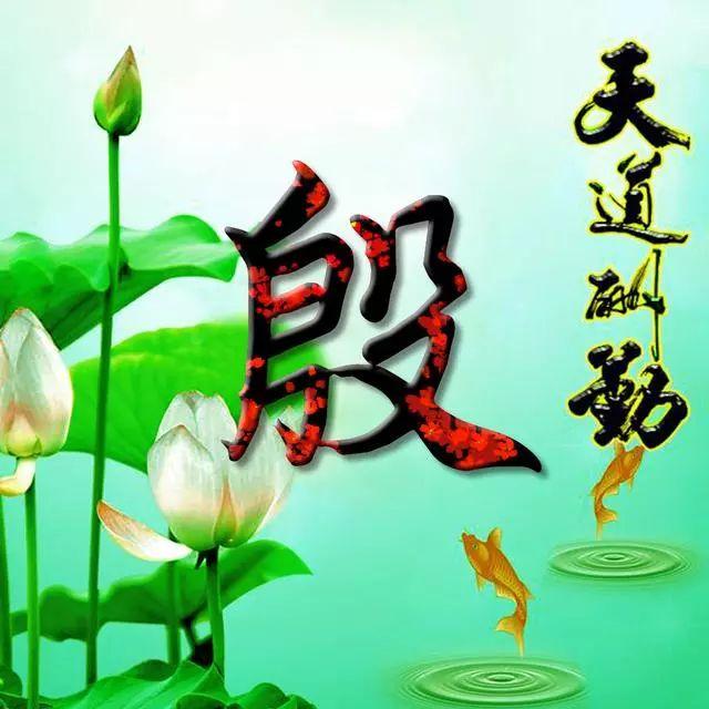 荷花头像图片大全，荷花头像高清图