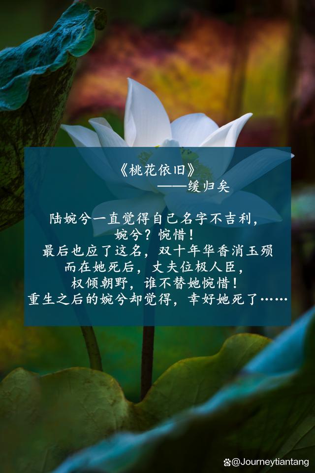 现言师生文，五部古言力作师生文养成文