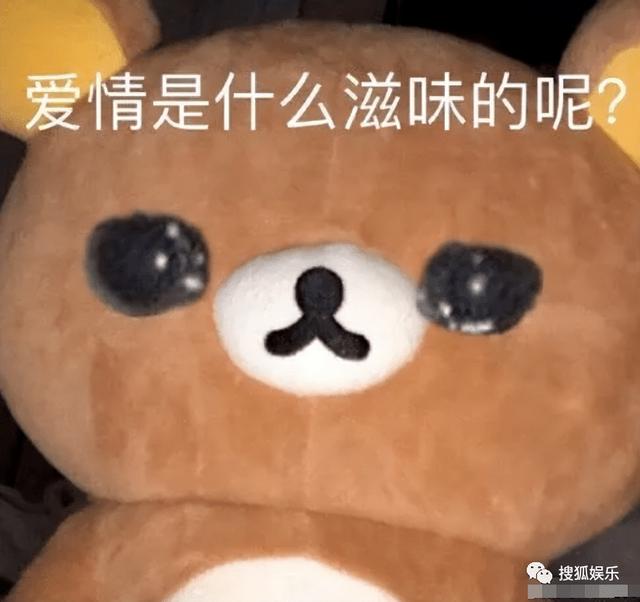 王大陆结婚了吗，王大陆和蔡卓宜的恋情是真的吗（公开情侣身份秀恩爱）