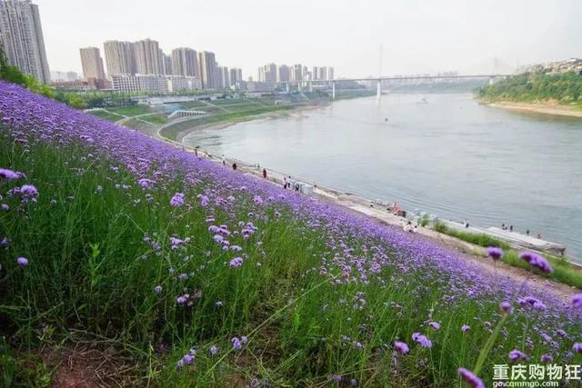 北碚有什么好玩的，重庆好耍的公园（重庆本地人想开了）