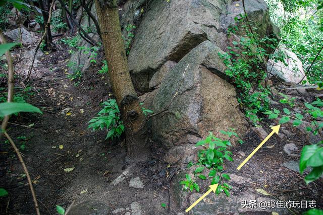 北京徒步登山怀柔麟龙山，平安山徒步一日游