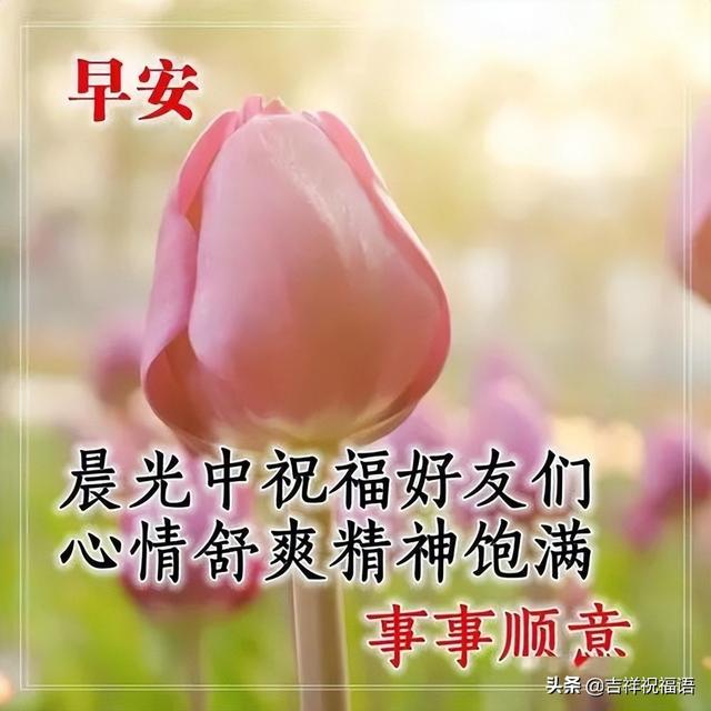 早上好的表情包，早上好表情图大全带字（最新的漂亮早上好问候表情图片）