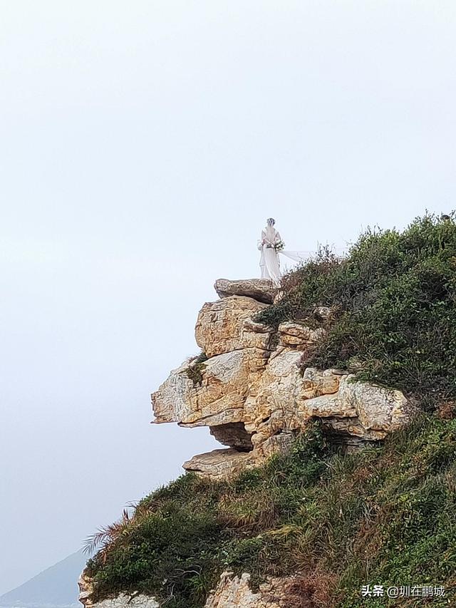 杨梅坑鹿嘴山庄，杨梅坑深圳旅游（鹿嘴山庄寻鹿攻略）