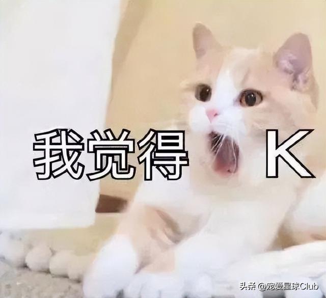 驱虫的正确方法和时间，养猪经：这样驱虫才能事半功倍