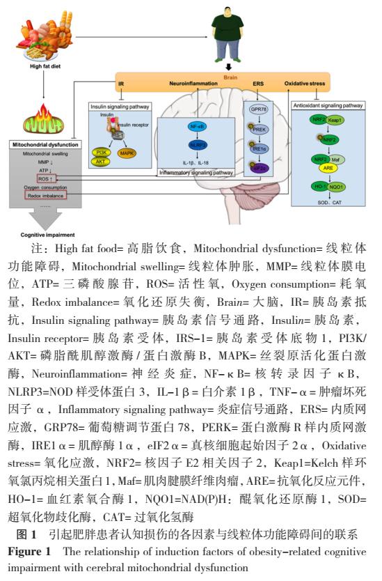 web肥胖