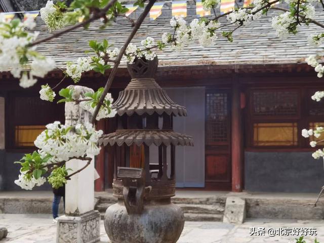 北京西山森林公园，北京西山森林公园登山路线推荐（西山国家森林公园）