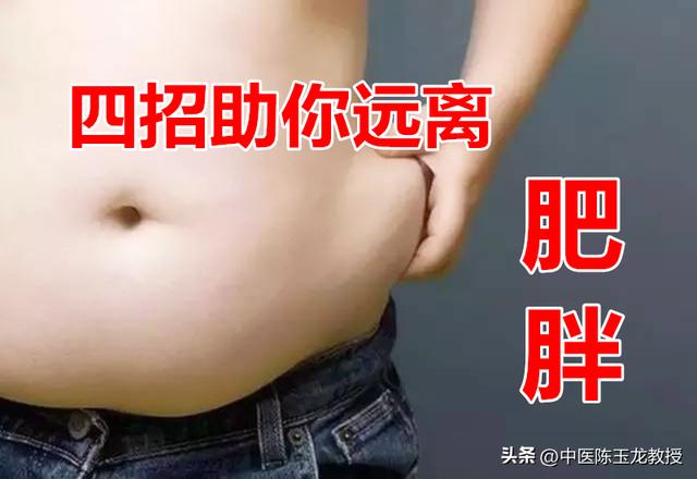 肥胖老中医(肥胖老中医挂什么科室)
