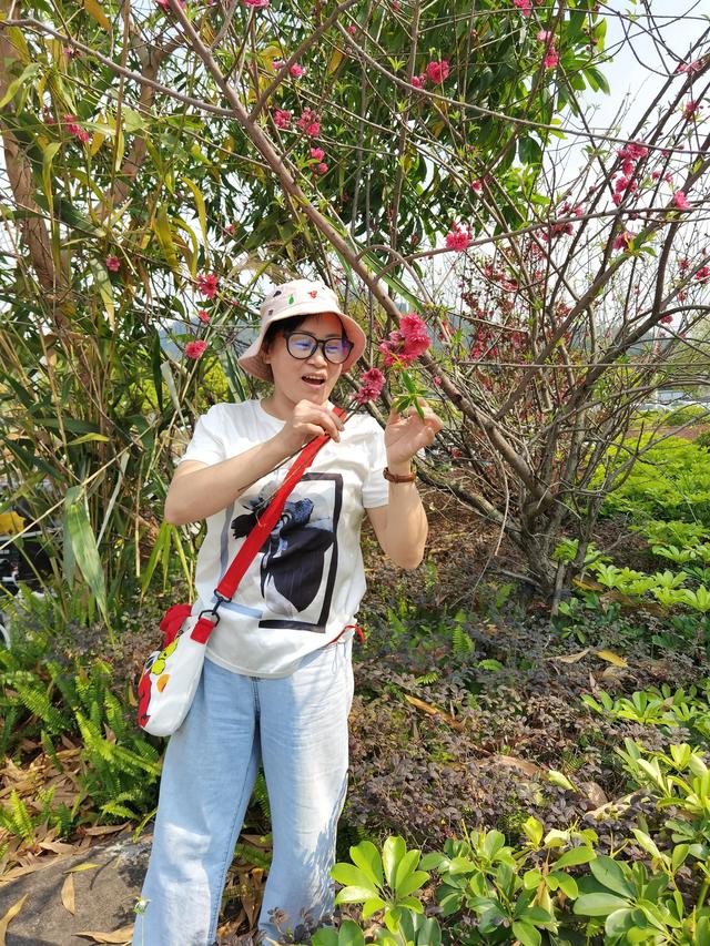 夏诗词飞花令，学生时代必背古诗词大全