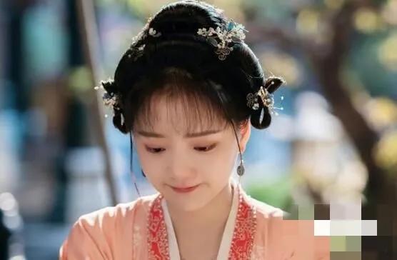 历史中真实的徽柔公主，《清平乐》赵徽柔原型