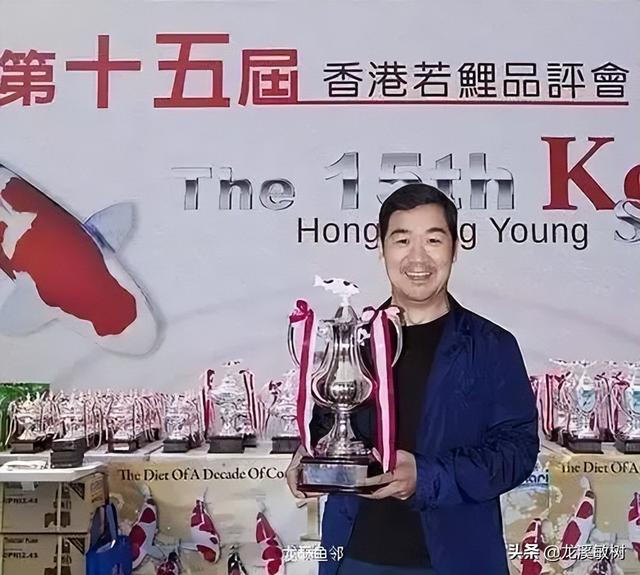 锦鲤各品种的寓意和象征，锦鲤品类介绍<一>