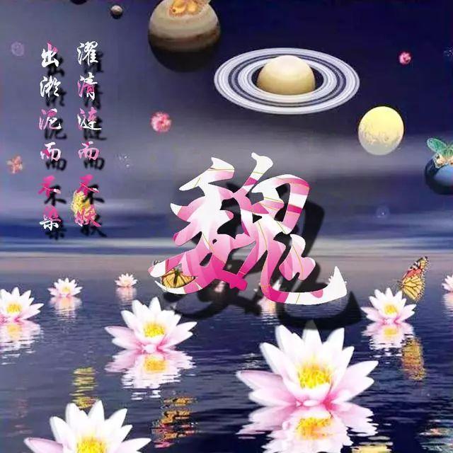 荷花头像图片大全，荷花头像高清图