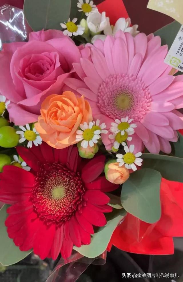 精美高清鲜花壁纸，漂亮鲜花送给您